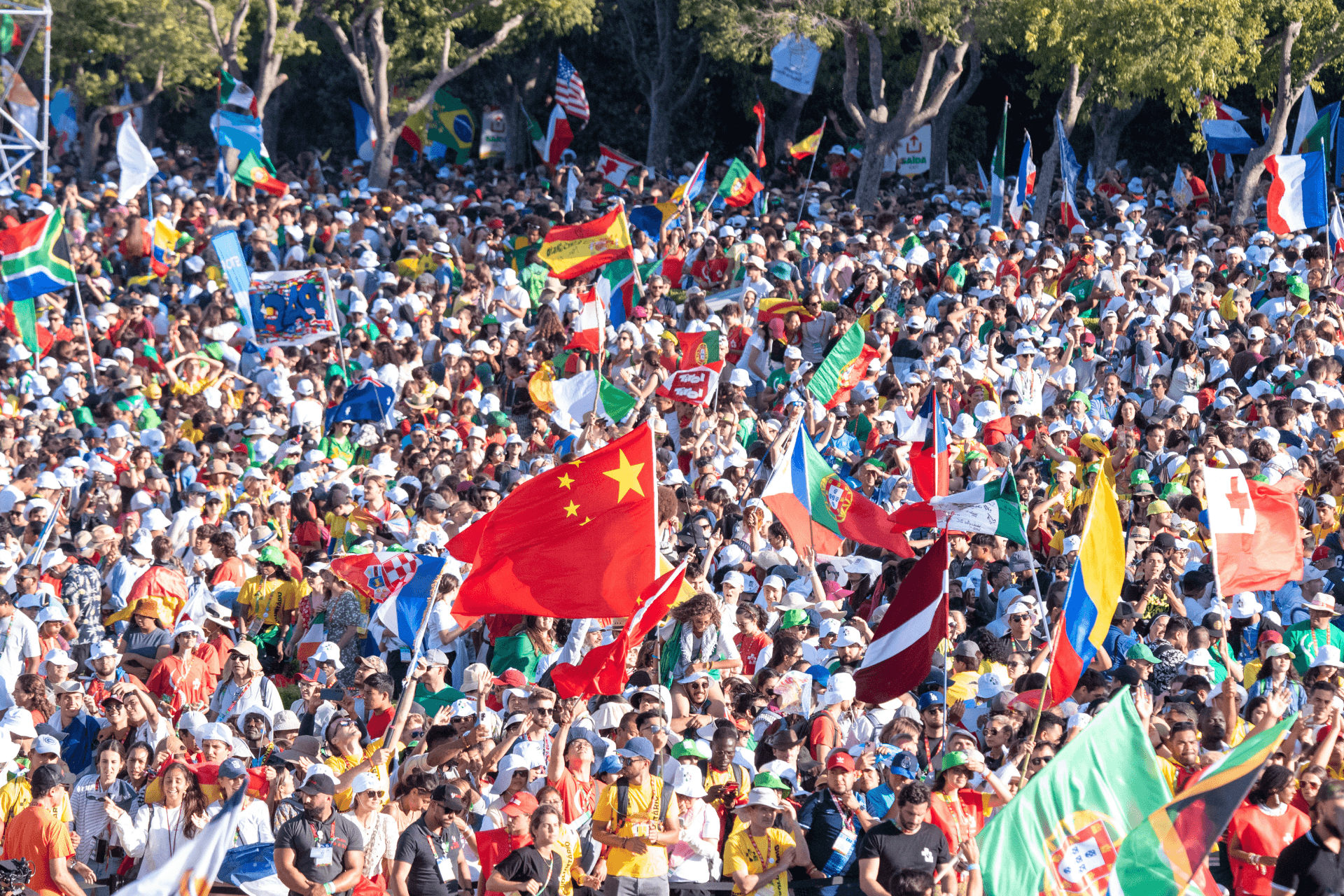 Header image