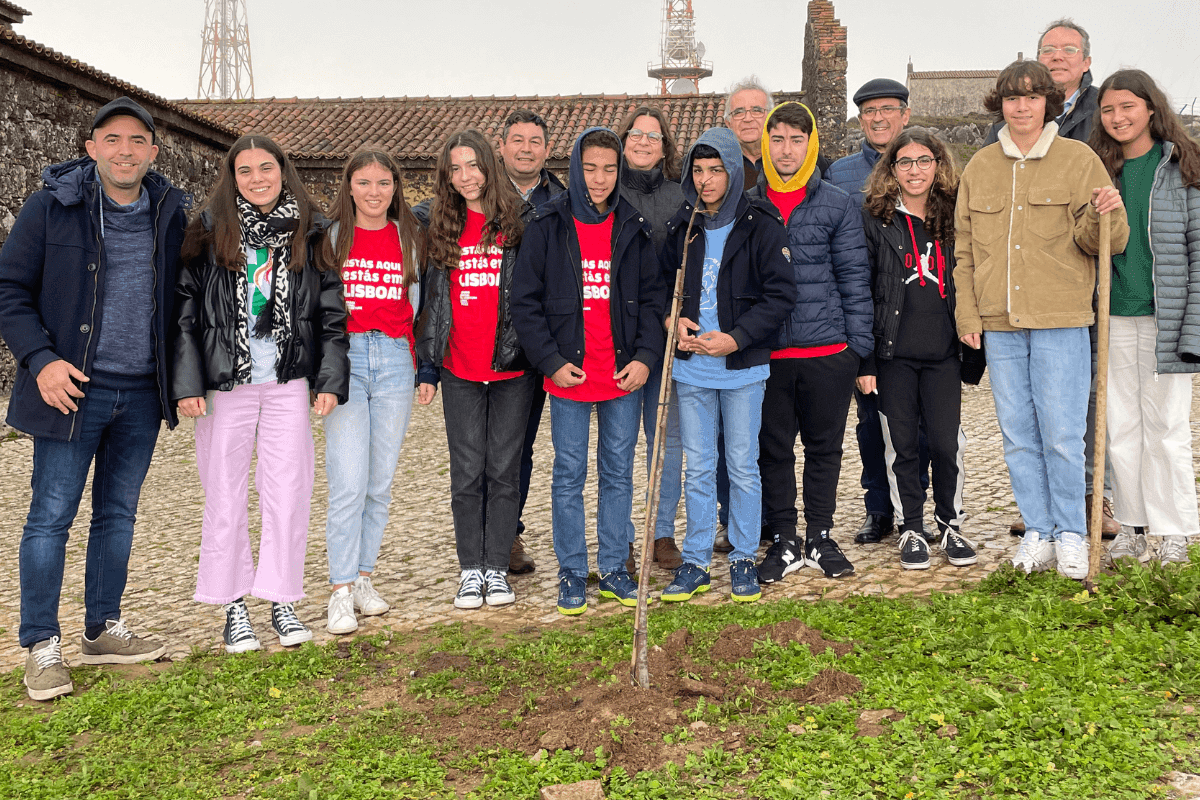 Plantacao-Nossa-Senhora-Neves-Cadaval-11.png