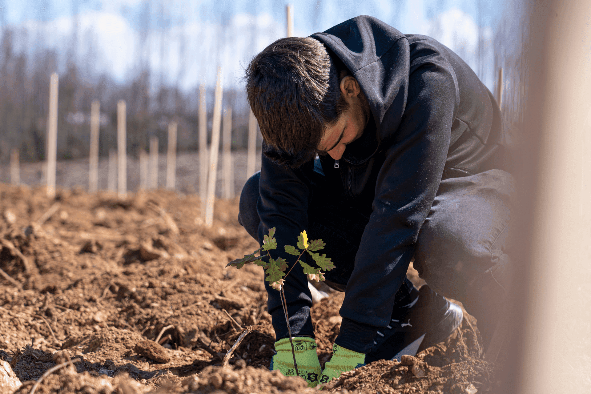 Niño labrando la tierra y plantando un árbol